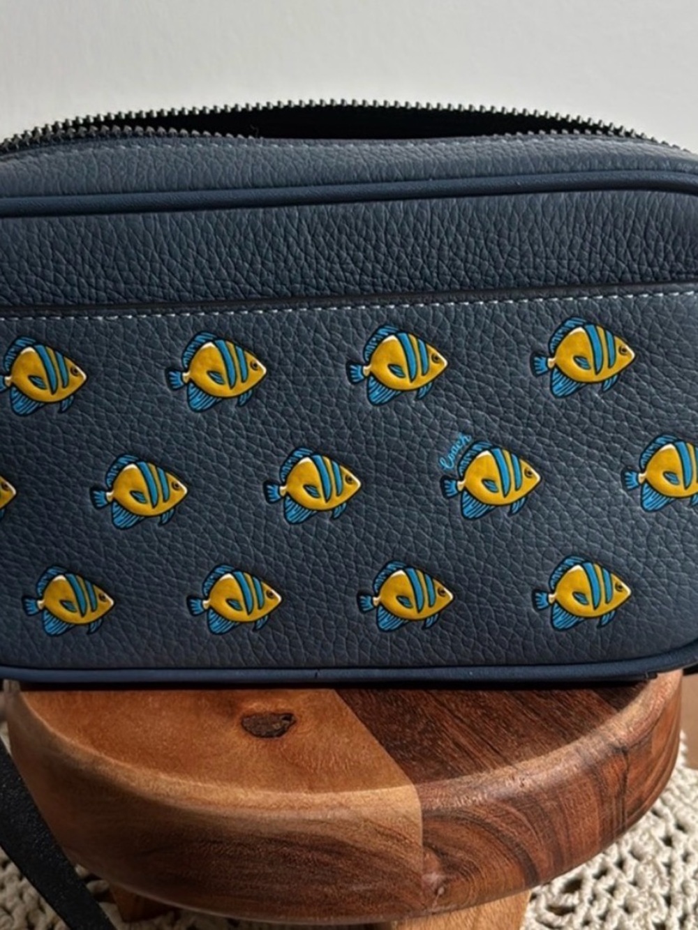 NWOT Coach | Jayden Leather Crossbody With Fish Print | Model CT870